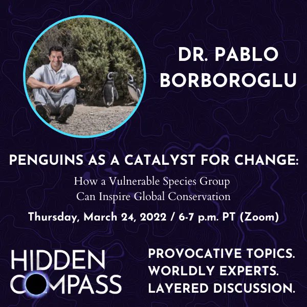 Hidden Compass tweet media