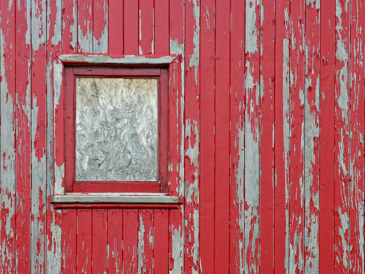 kimwilkie33's tweet photo. Theme: Windows and Doors
I often create themed self-assignments to work on my photography skills, to help train my artistic eye, and to see the world in more detail. This is one of my favorite ongoing themes.
#selfassignment #photography #PhotoTwitter #ThePhotoHour https://t.co/cCApvbPcVq