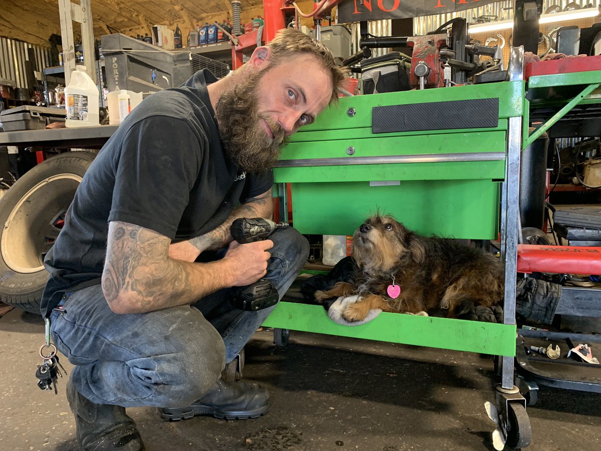 What kind of tool is that?🐾🛠

Our talented tech Randy brings his pup to work often. Cricket is the BEST dog ever!

Enjoy your weekend friends! And thank you for your continued support for our business &amp; other locally owned businesses in our amazing community. 🔧♥️