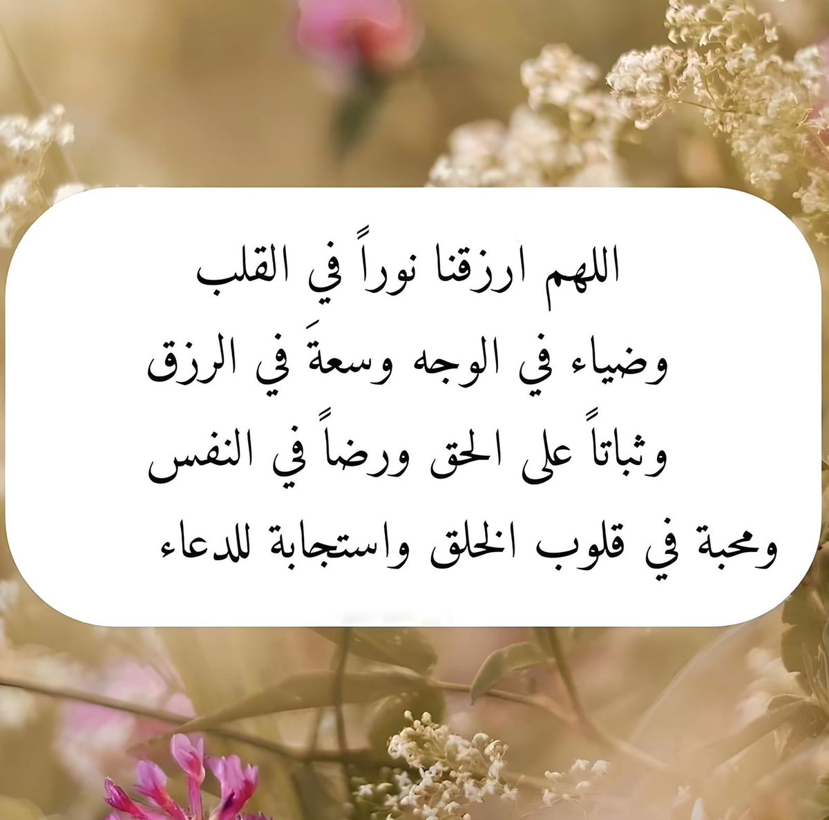 <a href="/Lara199765/">Freedom</a>