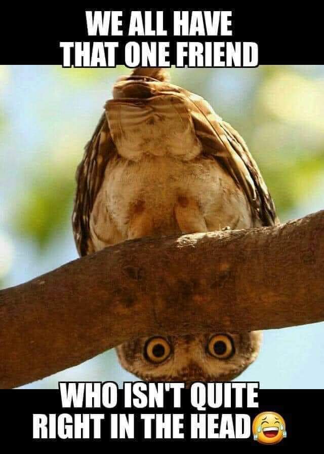 Tara Ellis (@witchygiggle) on Twitter photo 