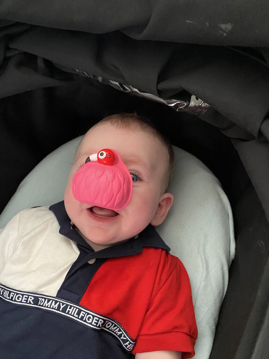 misslauracoates's tweet photo. Ellis &amp; Elliot in their @comicrelief red noses 🔴 #ComicRelief2022 #RedNoseDay https://t.co/ZQRlTudT1L