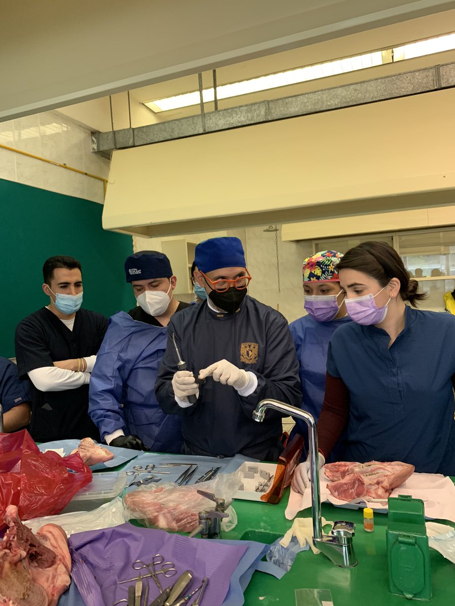 PerioMX's tweet photo. Práctica con Sistema de Fijación de Membrana AutoTac 🧡 muchas gracias a todos los colegas por su participación y a @BioHorizonsMX por la experiencia! 

#dentista #dentist #odontologia #implantes #implantesdentales #implantology #bhmx🧡 https://t.co/csxfKmv0s9