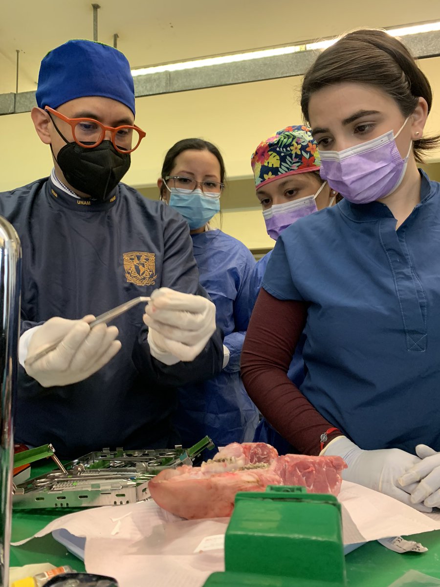 PerioMX's tweet photo. Práctica con Sistema de Fijación de Membrana AutoTac 🧡 muchas gracias a todos los colegas por su participación y a @BioHorizonsMX por la experiencia! 

#dentista #dentist #odontologia #implantes #implantesdentales #implantology #bhmx🧡 https://t.co/csxfKmv0s9