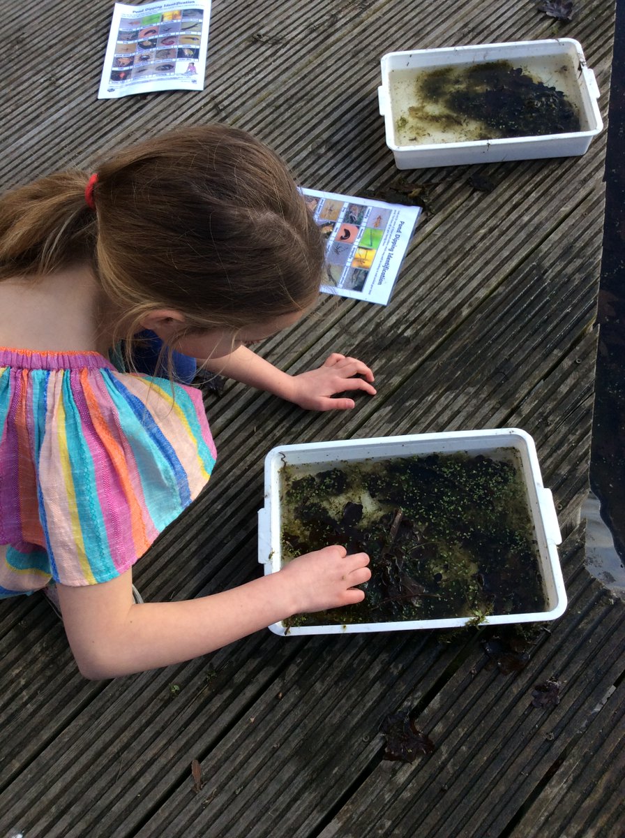 NectonY3's tweet photo. Science has been the theme of the week, as we celebrate British Science Week 2022. Pond dipping was a firm favourite activity with Rowan class, whilst exploring this years theme of 'growth'. #BSW22 @ScienceWeekUK @NectonPrimary https://t.co/TUnnvRuzAs