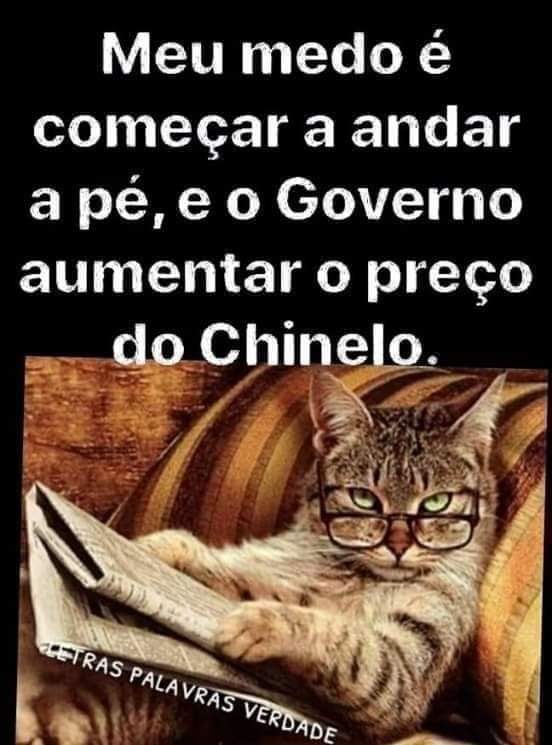 Marcelojoaquinh's tweet photo. https://t.co/mCvaScqRjN