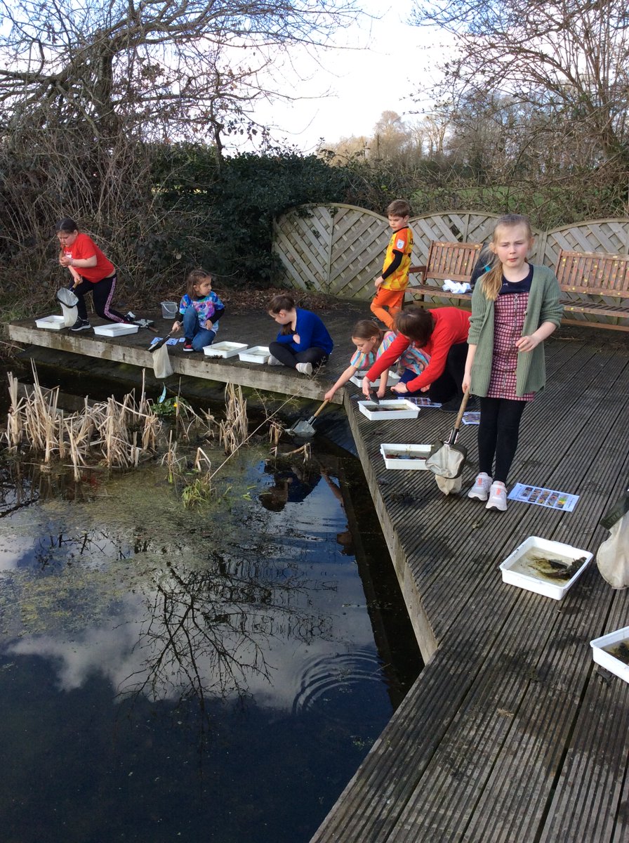 NectonY3's tweet photo. Science has been the theme of the week, as we celebrate British Science Week 2022. Pond dipping was a firm favourite activity with Rowan class, whilst exploring this years theme of 'growth'. #BSW22 @ScienceWeekUK @NectonPrimary https://t.co/TUnnvRuzAs