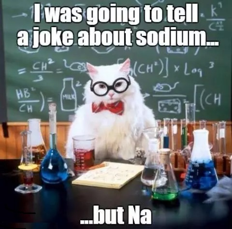 IBMScience's tweet photo. If you were at #IBMSCongress2022 we hope you enjoyed it. We'll have some videos for those who missed it soon. Until then, here's chemistry cat... 😹 https://t.co/3oyb9iOZZE