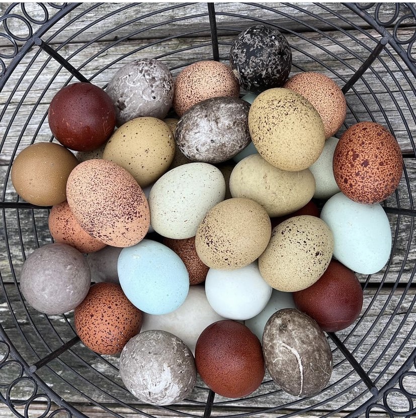 The Consumer Brand tweet media