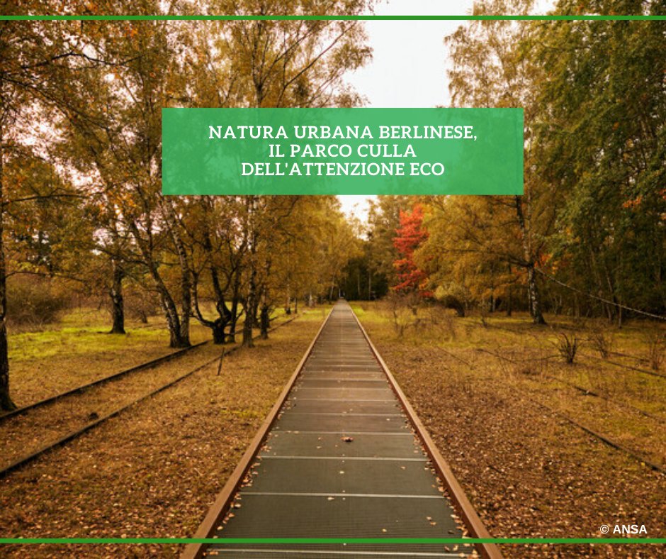 È stato assegnato al Natur-Park Schöneberger Südgelände di Berlino il 32/o premio "Carlo Scarpa per il giardino" della Fondazione Benetton Studi e Ricerche.
#ANSAAmbiente 
➡ bit.ly/3IlWyJf
