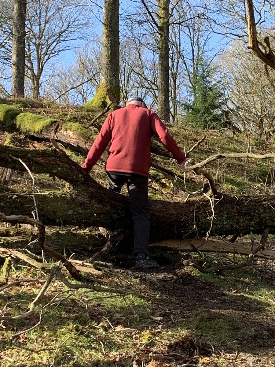 cumpstonarchive's tweet photo. Glorious quiet early morning walk @lakedistrictnpa but challenges climbing under and over huge fallen trees π² #SeptuagenarianKnees π±
#ColwithForce #Cumbria @nationaltrust https://t.co/6gtONKSeap