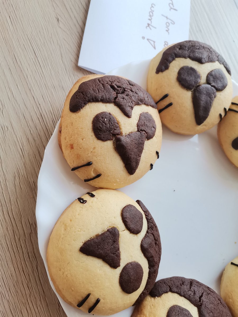 The_owl_house_'s tweet image. Hooty cookies with sleeping nettles made in celebration of The owl house returning 🦉
@DanaTerrace
