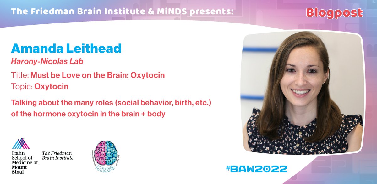 SinaiBrain's tweet image. HOW DO WE FORM RELATIONSHIPS, powerful social bonds w/ one another? Part of the answer lies in the brain🧠, w/ a special molecule called #Oxytocin. CHECK OUT @aleithead7's #BrainBlog & LEARN MORE about the chemistry of love💕. #brainawarenessweek 👉mindatsinai.com/mindsblog/oxyt…