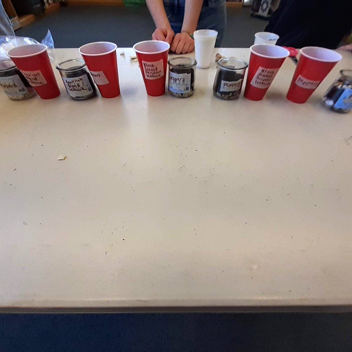 Working with our <a href="/HowellTwpRamtwn/">Ramtown</a> Student Green Team today, sowing seeds &amp; getting excited for the spring planting season! <a href="/Melissasweet_11/">Melissasweet11@gmail.com</a> <a href="/sterao8/">Stephen Rao</a> #HTPSLearnerSuccess  #HowellLeads