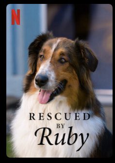 Daanklxxs's tweet image. JONGENS 😭

DEZE FILM ❤️❤️❤️❤️❤️❤️❤️❤️

Dit is echt een méga aanrader!!! En al helemaal als je een hart hebt voor rescuedogs. M’n hart is zojuist compleet overgelopen 🥰🥰❤️❤️❤️❤️❤️ #RescuedByRuby