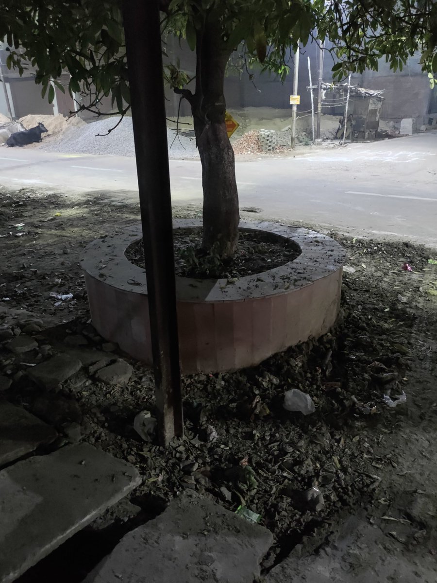 Ankit Tripathi tweet media