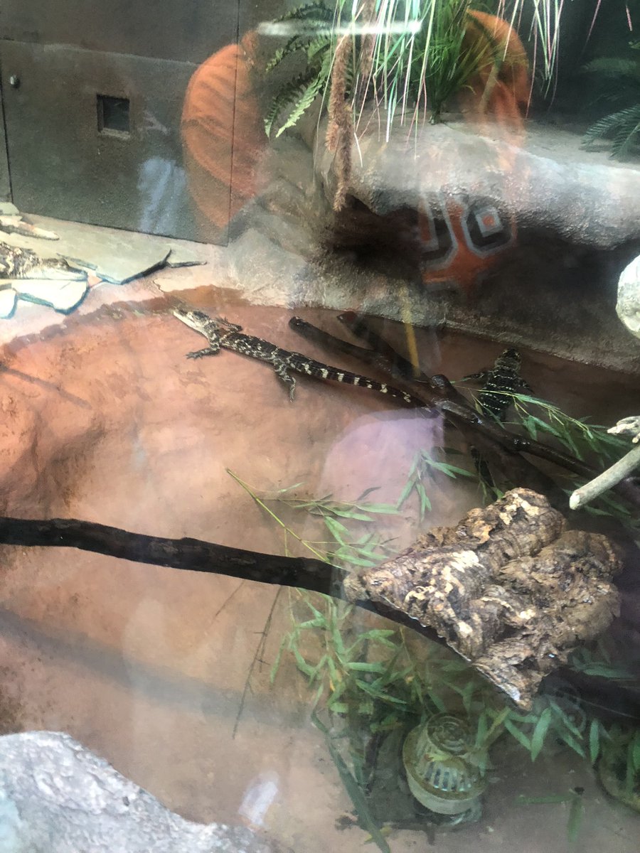 Deidre Smith tweet media