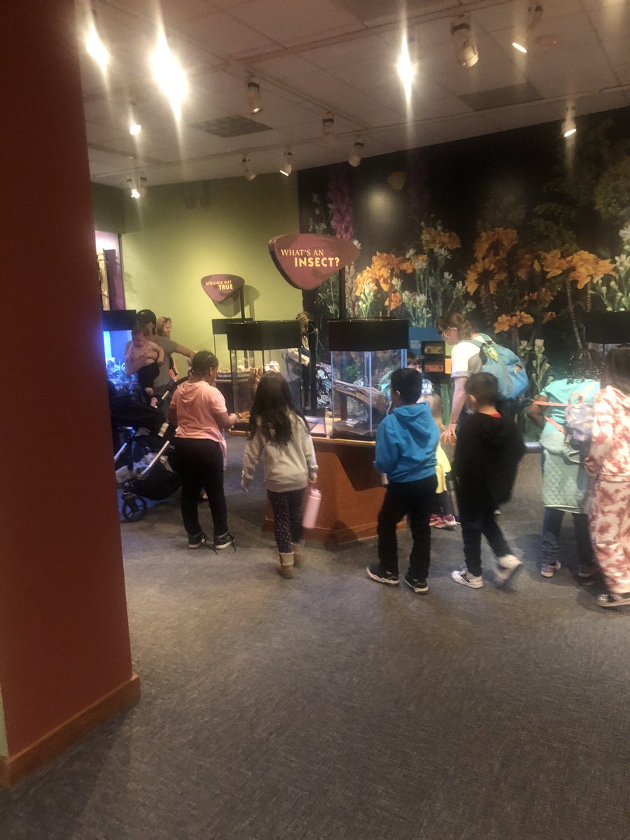 Deidre Smith tweet media