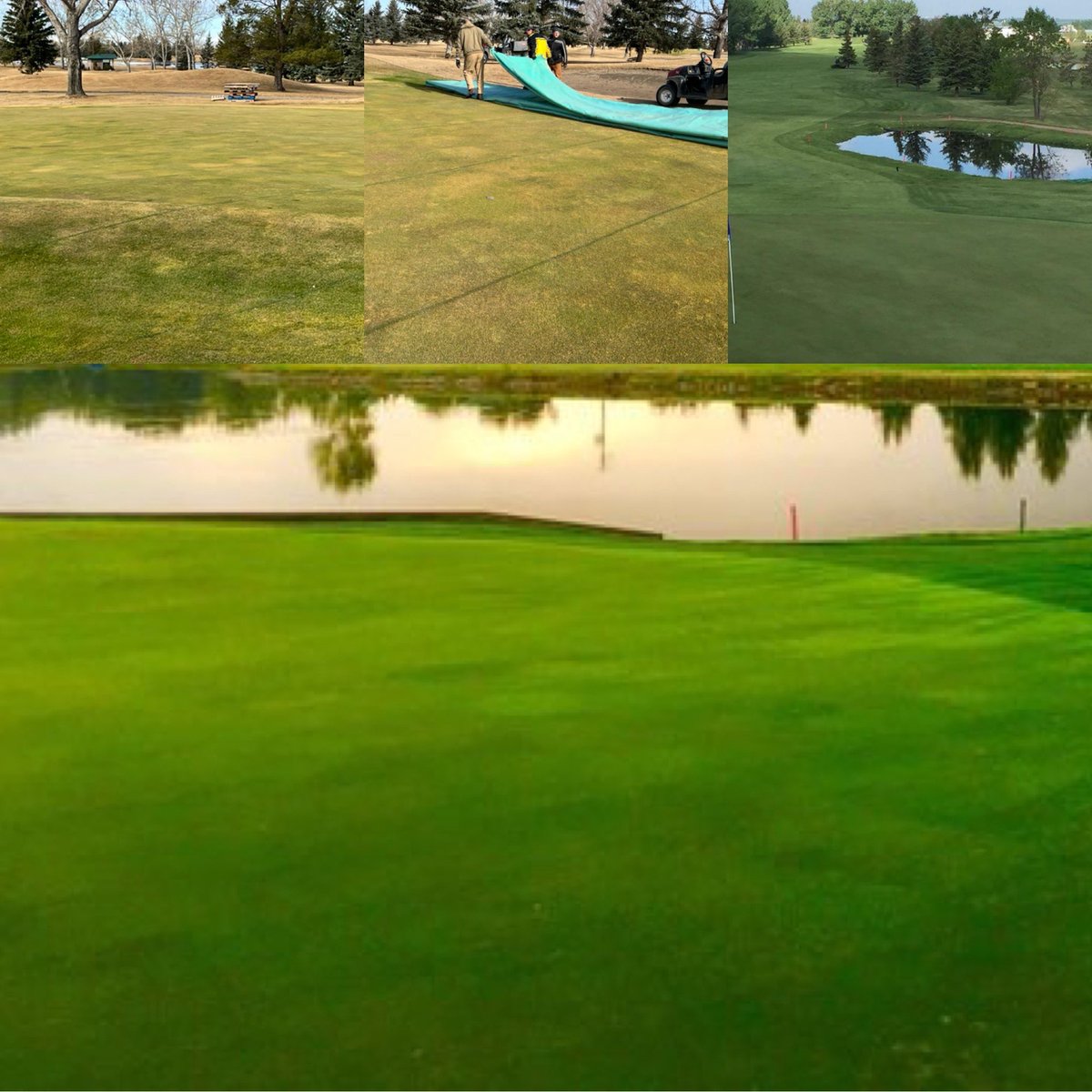 Dean Sklarenko tweet media