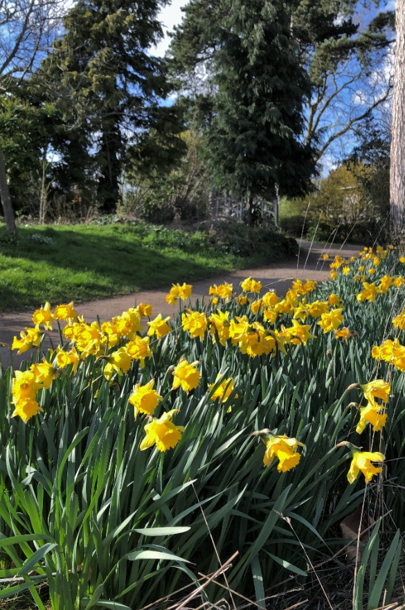 NTU_ARES's tweet photo. Happy #FirstDayofSpring - Spring has most definitely sprung at our @TrentUni Brackenhurst Campus! 😍☀️🌱
Have you taken any #Springshots today? Share them below or tag us in them 👇👇👇
Photo credits: @victoria_s1097 and @SavWorne https://t.co/Sf44wWbnzL