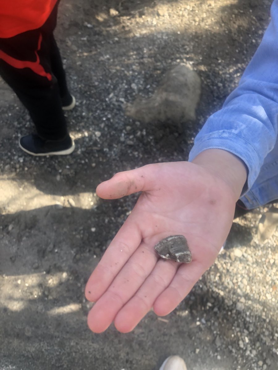 Deidre Smith tweet media