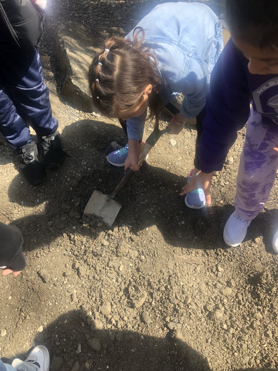 Deidre Smith tweet media