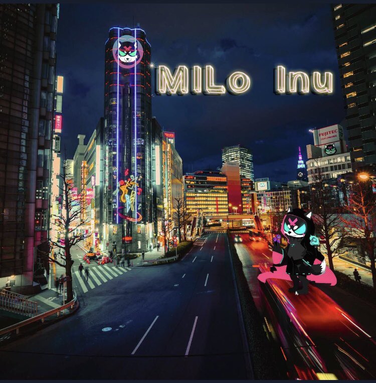 izmirlioglugur's tweet photo. Go to the mooonnn  Website 》https://t.co/sXGvMG0vAL

Twitter 》https://t.co/soHHBo46cU 

#Miloinu #BSCGem #btc  #Milotoken #Milo #MiloMoon https://t.co/SFRyZIZpYE