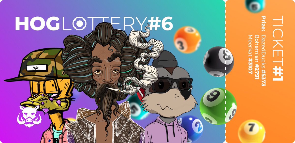 The HogLottery tweet media