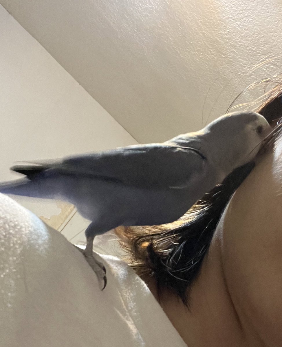 說什麼悄悄話