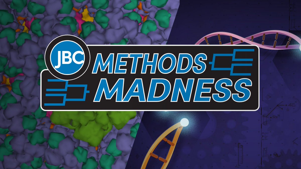 jbiolchem's tweet photo. We've made it far my fellow scientists, here's to the #FreeRadicalFour!
Monday, March 21
11 a.m. ET – #TeamMassSpec vs #TeamChroma
Wednesday, March 23
11 a.m. ET – #TeamCRISPR vs. #TeamCryo
#JBCMethodsMadness #MassSpec #Chromatography #CRISPR #CryoEM https://t.co/DVTBtpF62B