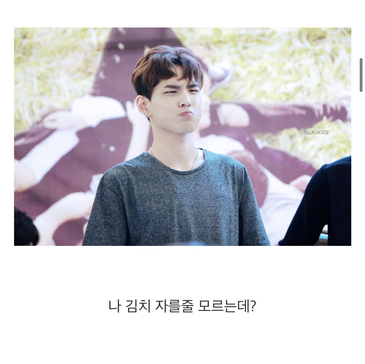 데이식스 김치사건