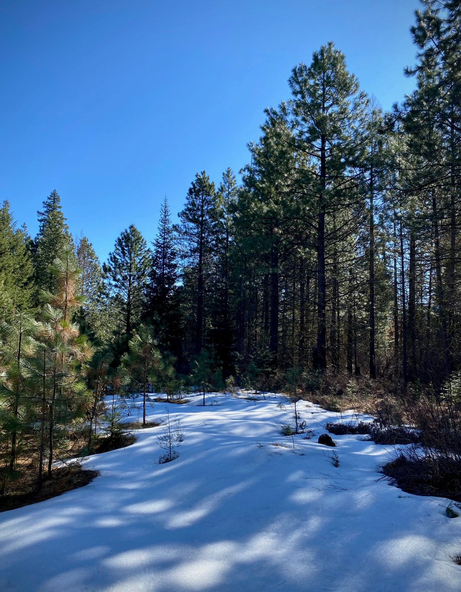 DesLandTrust's tweet photo. #Trailreport🚦snow, ice, and mud OH MY!
The trails at #MetoliusPreserve are still covered in snow, ice, and mud, and the roads are rutted.
Please avoid visiting for a bit longer to protect the life and longevity of our trails and access roads.
📸: Land Trust. #trailupdate https://t.co/86sj8wuCRW