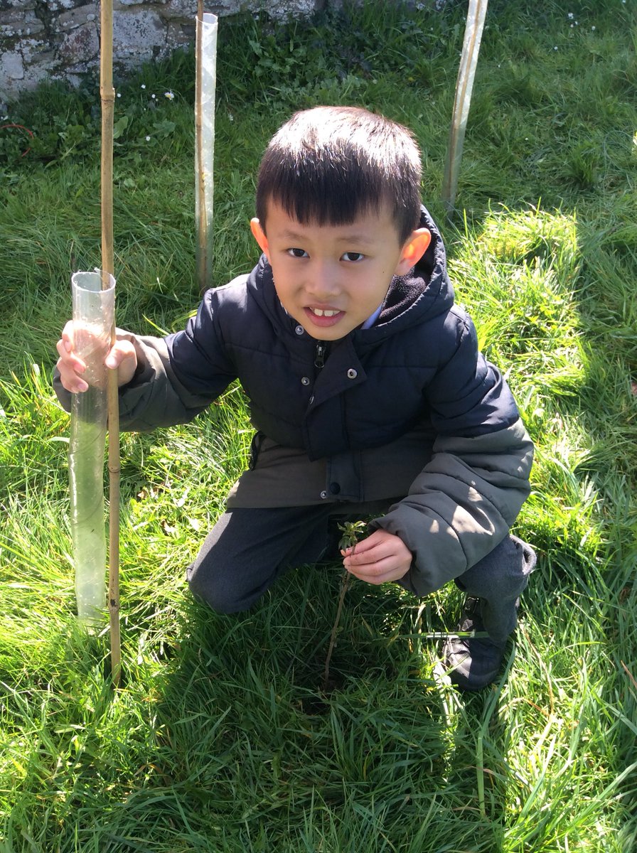 Pine Class tweet media