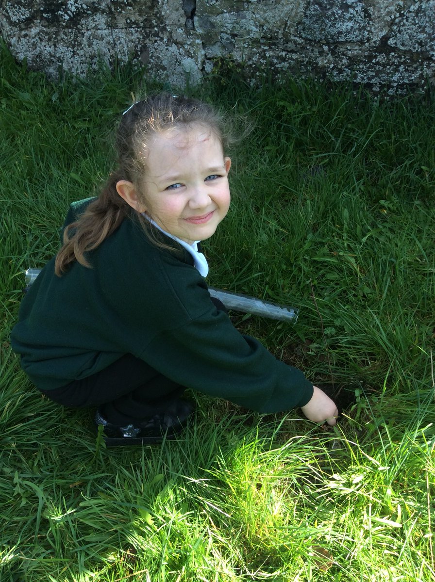 Pine Class tweet media