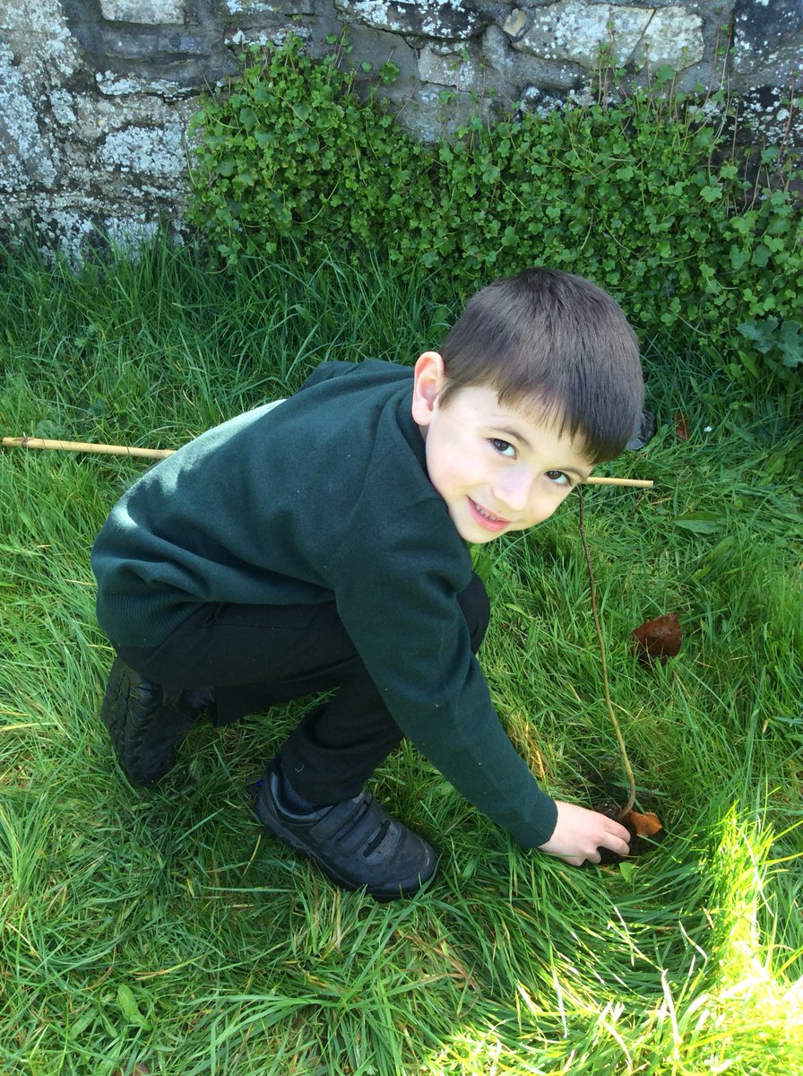 Pine Class tweet media