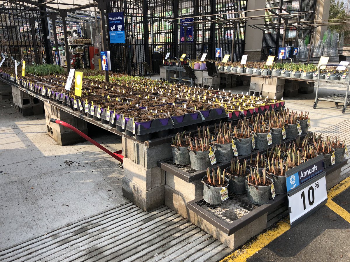 AlanF-Battlefieldfarms tweet media