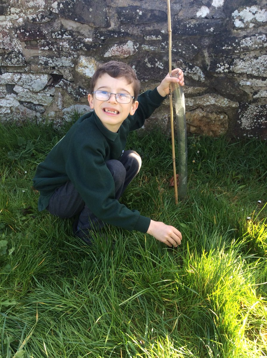 Pine Class tweet media