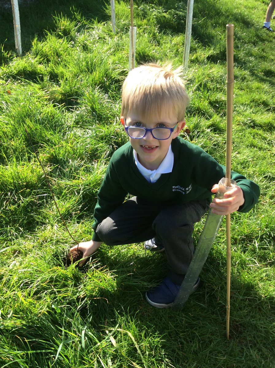 Pine Class tweet media