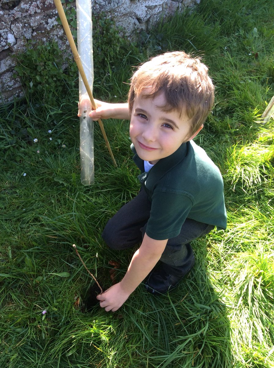 Pine Class tweet media