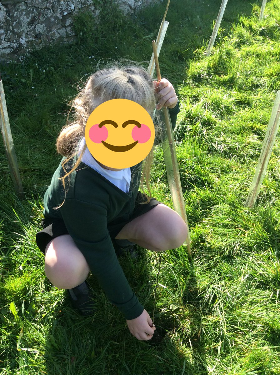 Pine Class tweet media