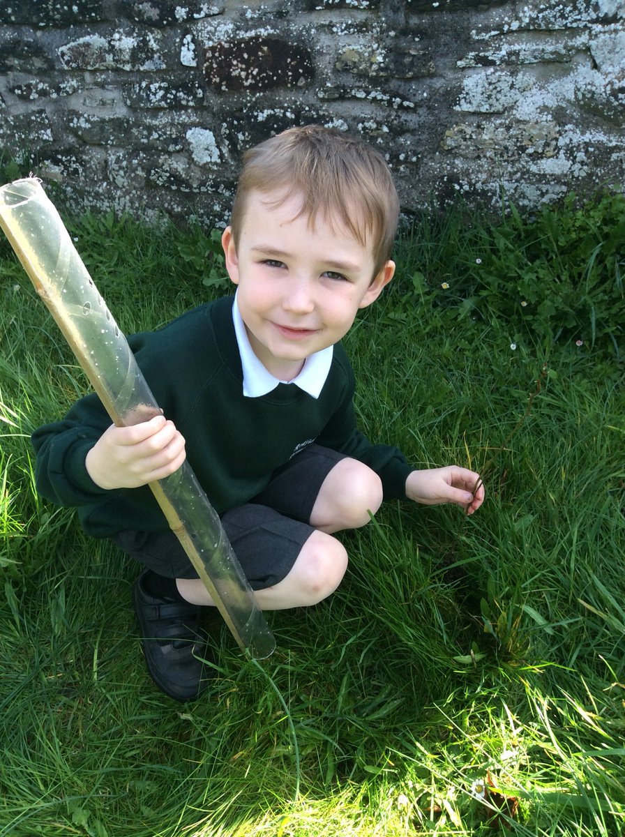 Pine Class tweet media