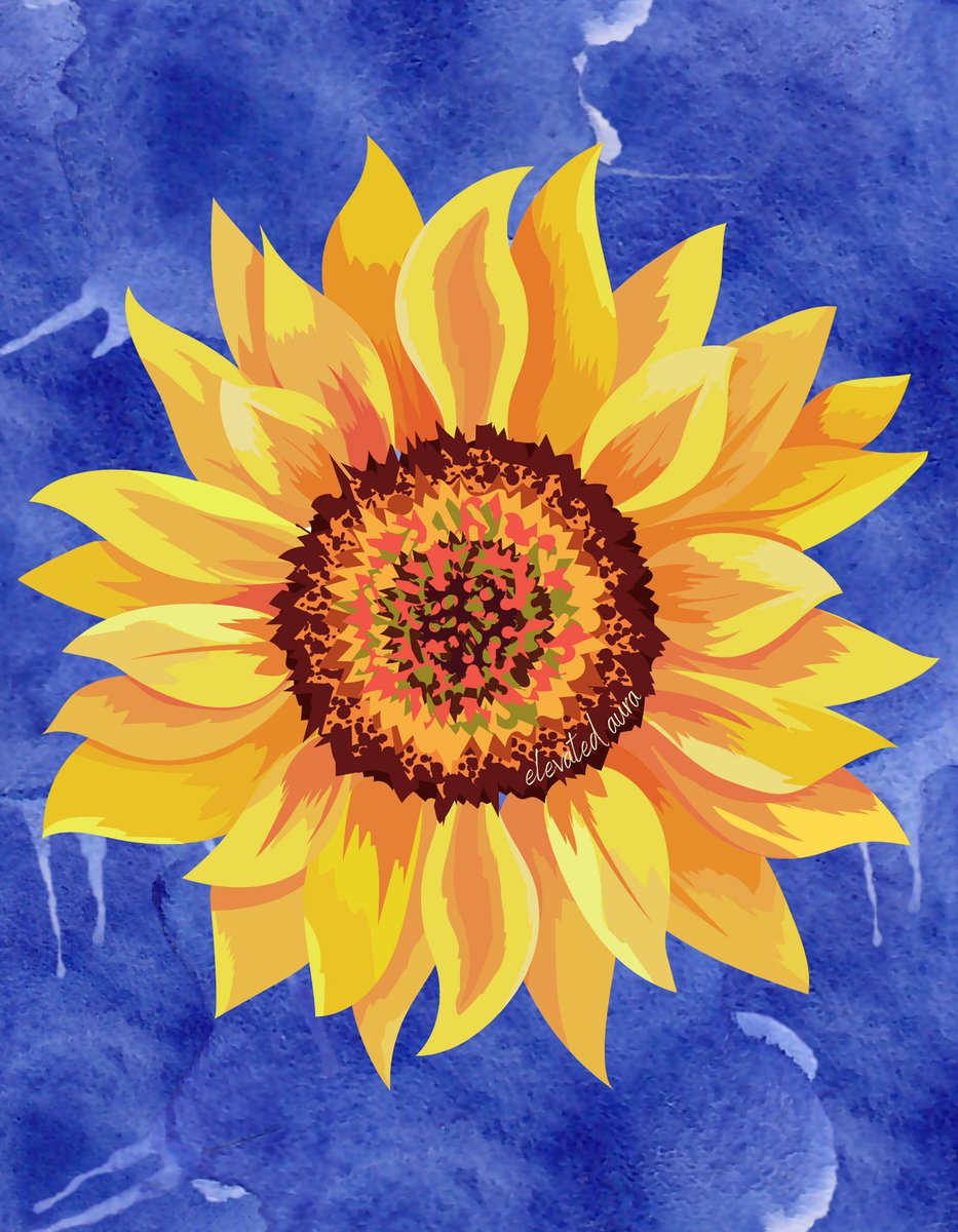 elevated_aura's tweet photo. 100% of the profits I make from this Ukrainian Sunflower Blue Watercolor print will go to nonprofit organizations supporting children and animals in Ukraine 🌻💙💛
https://t.co/64Xzv17Lst
#redbubbble https://t.co/O4cpgDlvzA
