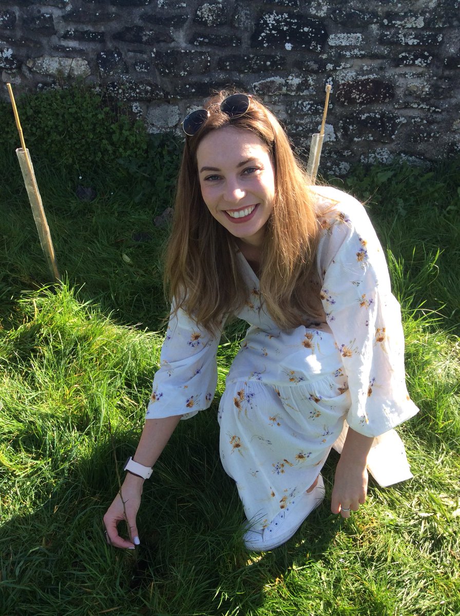 Pine Class tweet media