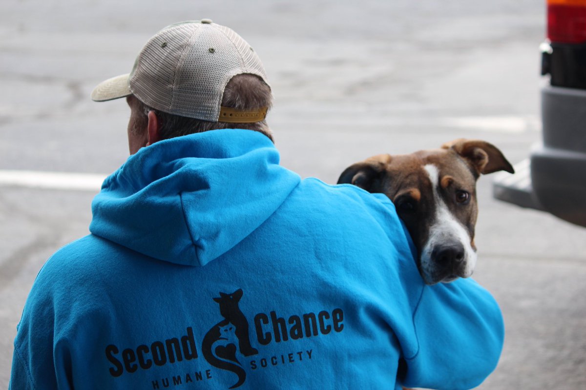 Please consider donating 
to our important fundraiser. We have a matching grant,
and need your support to fund these improvements to 
our medical services. Deadline is 4/1/22! 
givebutter.com/P1GQNI
#adoptmountainpets #secondchanceridgway 
#communitymedicalservices #healthypets