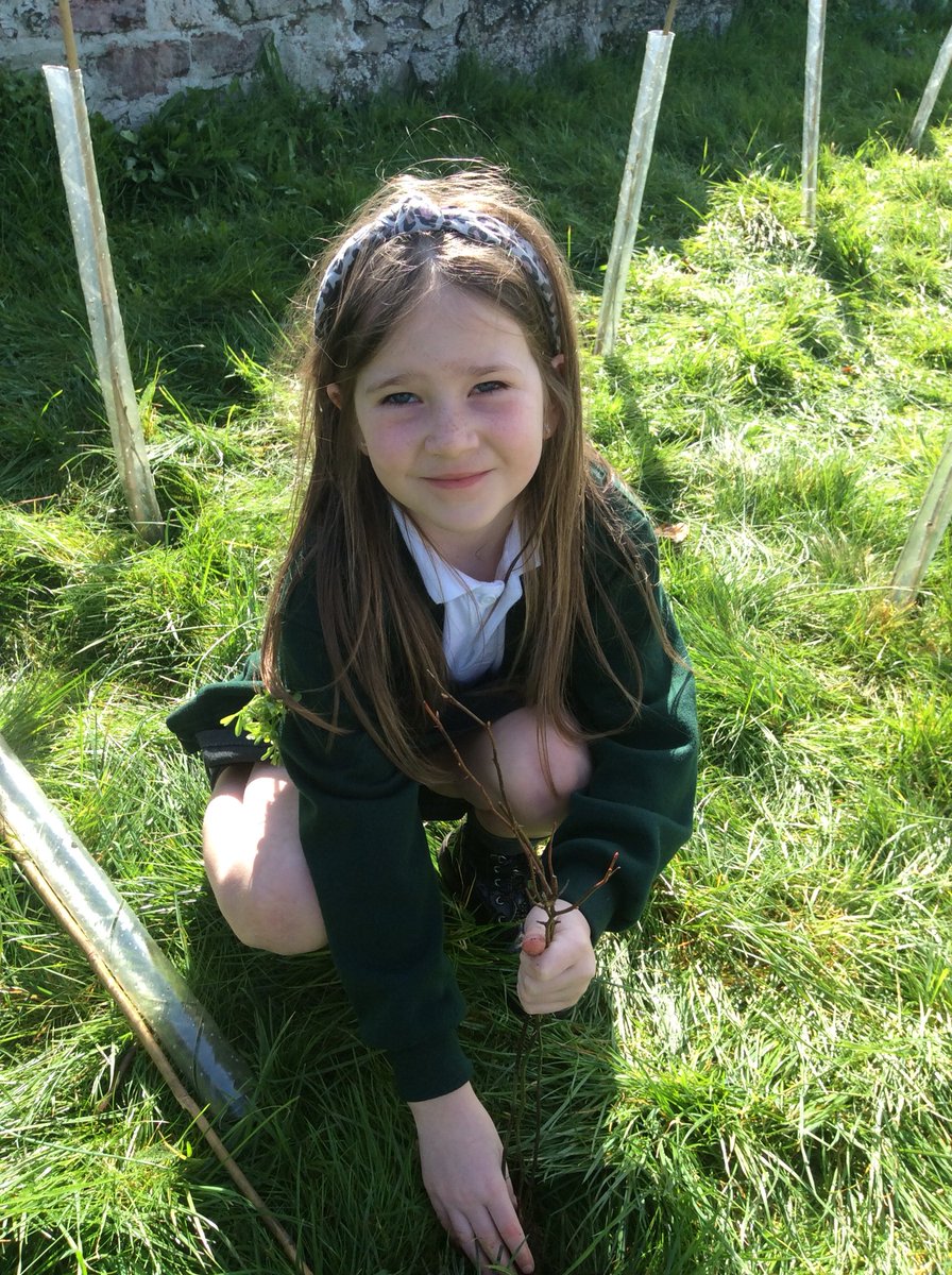 Pine Class tweet media