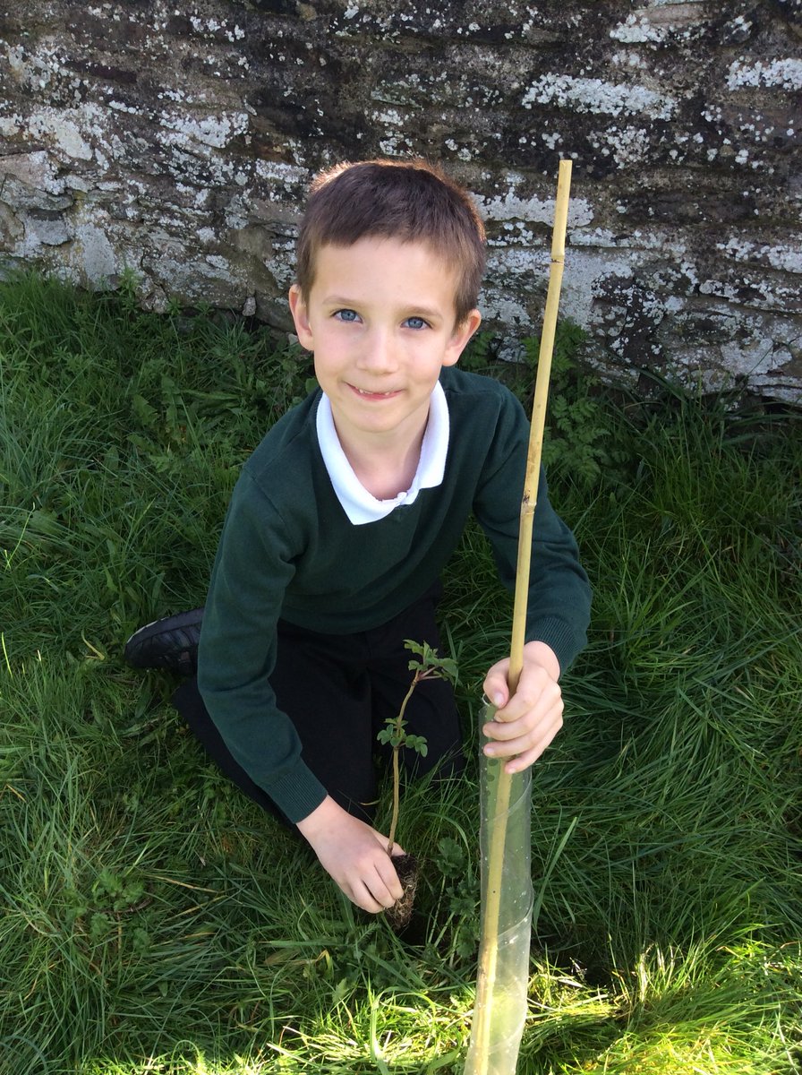 Pine Class tweet media