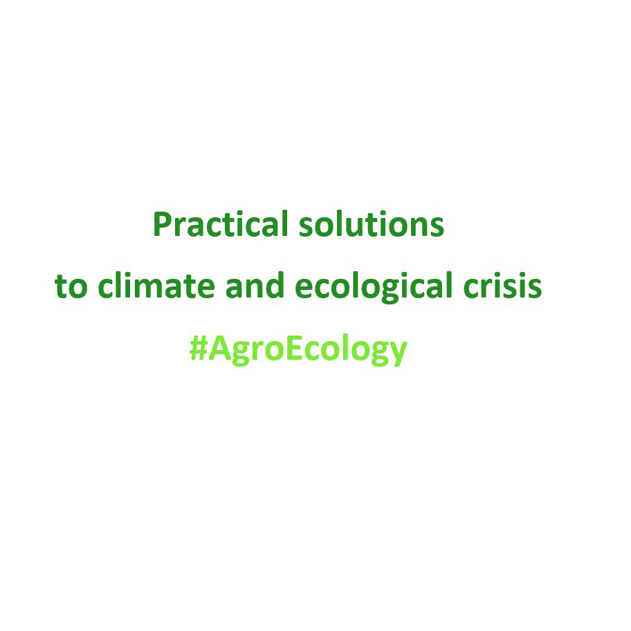 OctopusCN's tweet photo. Join us Tuesday at 6pm when Karina Ponton will explain how #CommunityGroups can start their #AgroForestry journey.
Karina Ponton #Agroforestry in Communal Spaces 22.03.22 6pm zoom
https://t.co/Hf85G42Np3
#ActionForLocalFood #AgroEcology #ClimateAction #ForestGarden https://t.co/3dQv8ndVHX