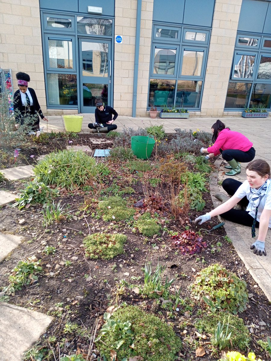 St Paul's RC Academy Gardening Club tweet media