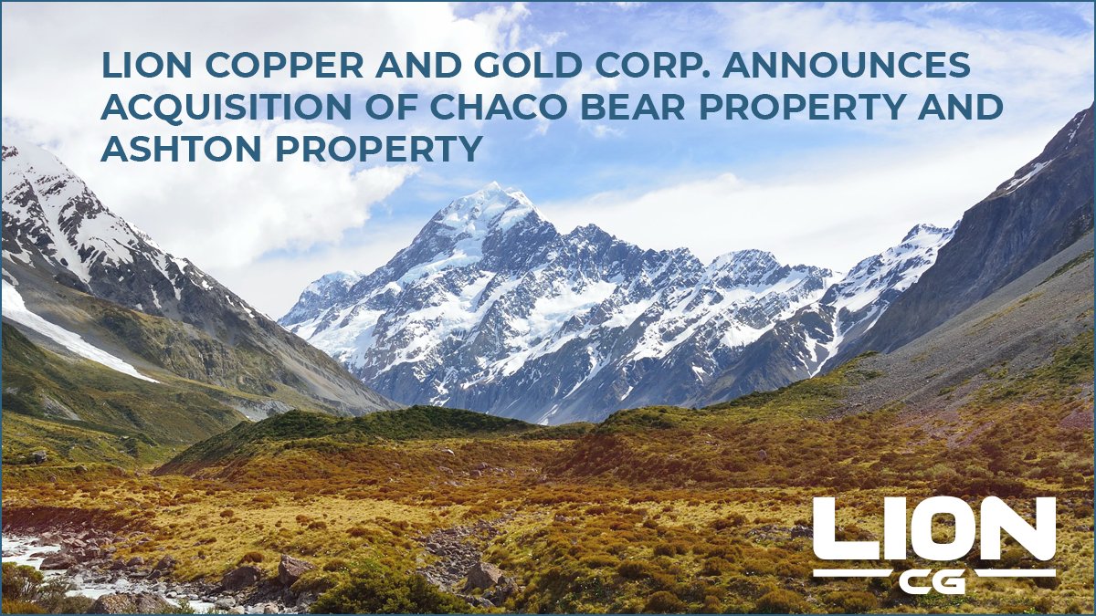 LionCG Corporation tweet media