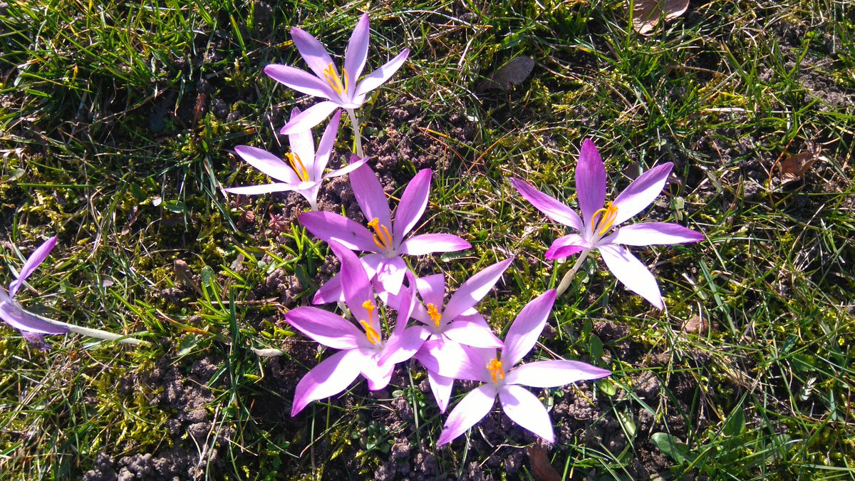 Ruhe schenkt Glück. Genieße die Entspannungsreise für Herz und Seele. Du findest sie hier: gluecklich.maerchenhaft-leben.de/innere-Ruhe/